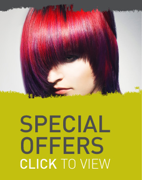 Special Offers